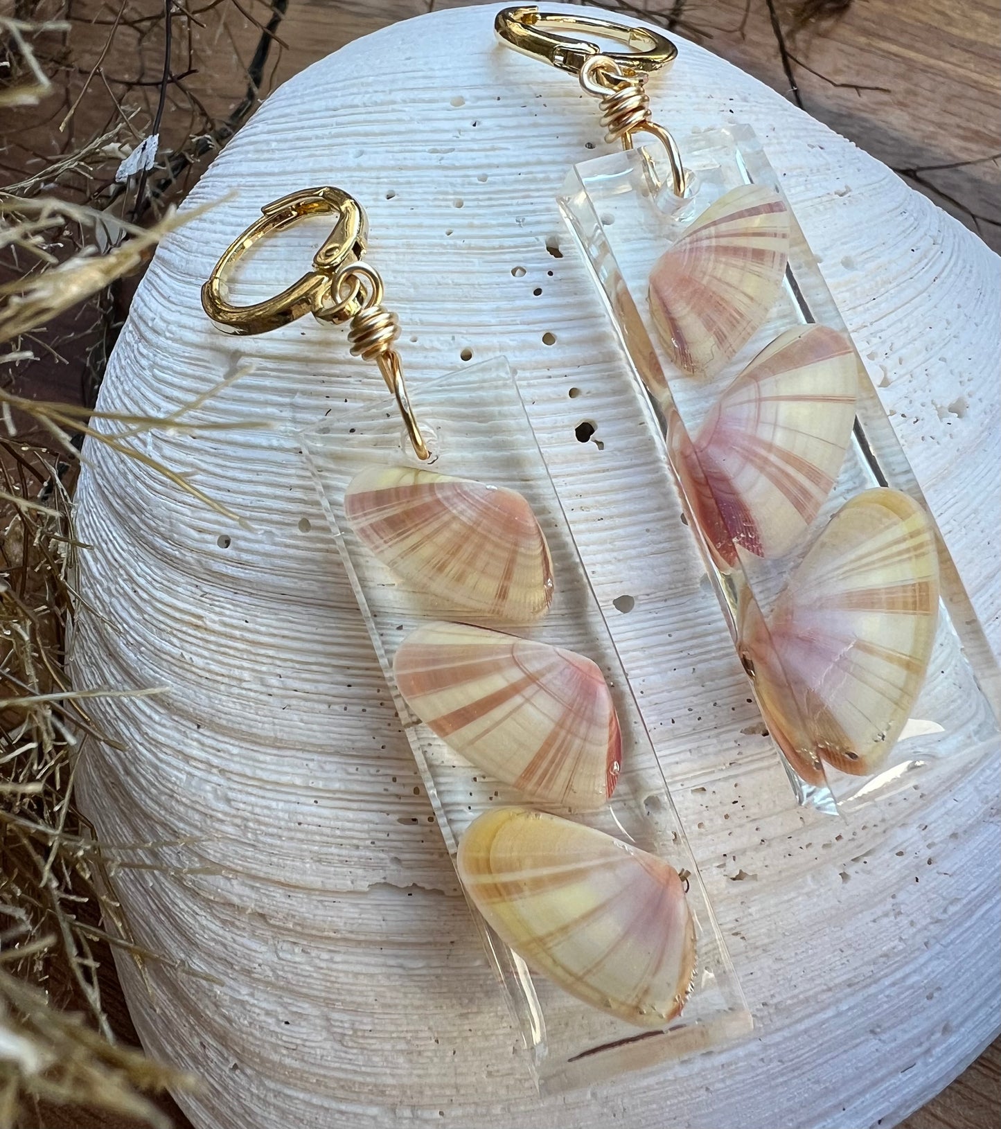 Coquina Shell Earrings