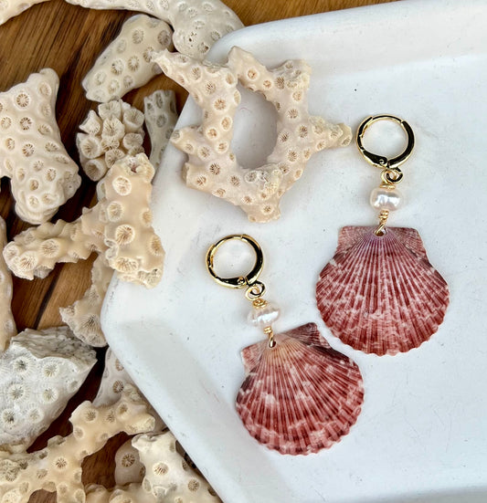 Scallop Shell Earrings