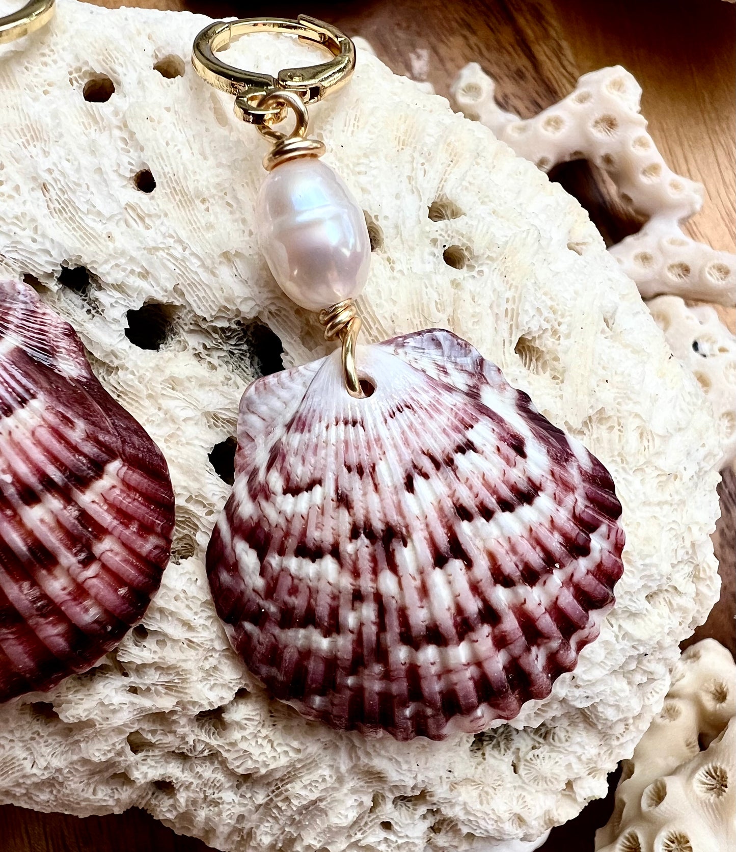 Scallop Shell Earrings