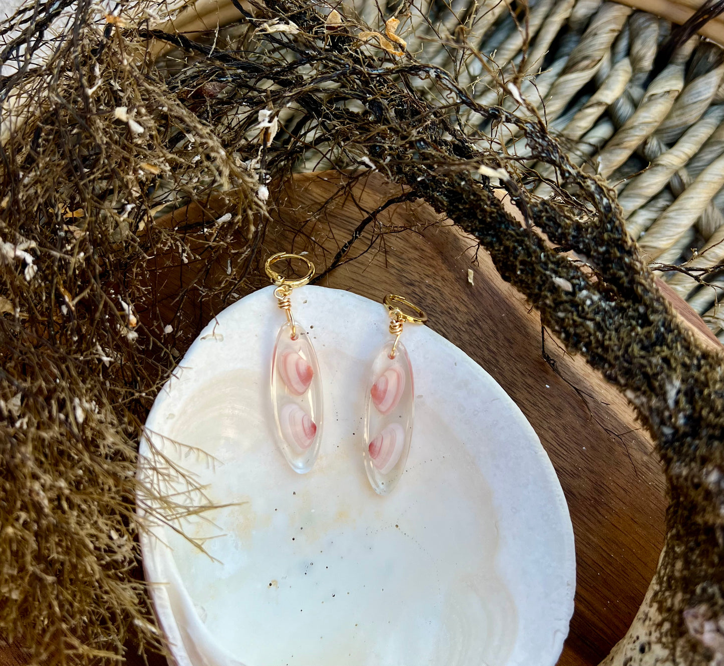 Coquina Shell Earrings