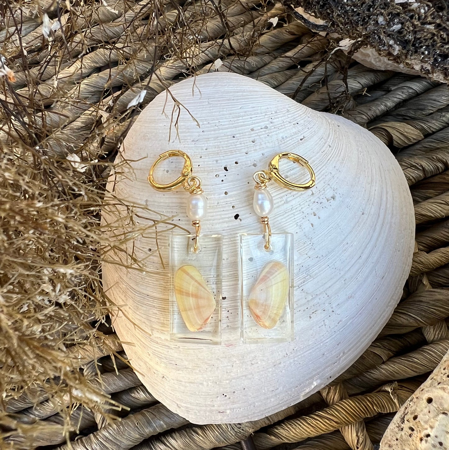 Coquina Shell Earrings