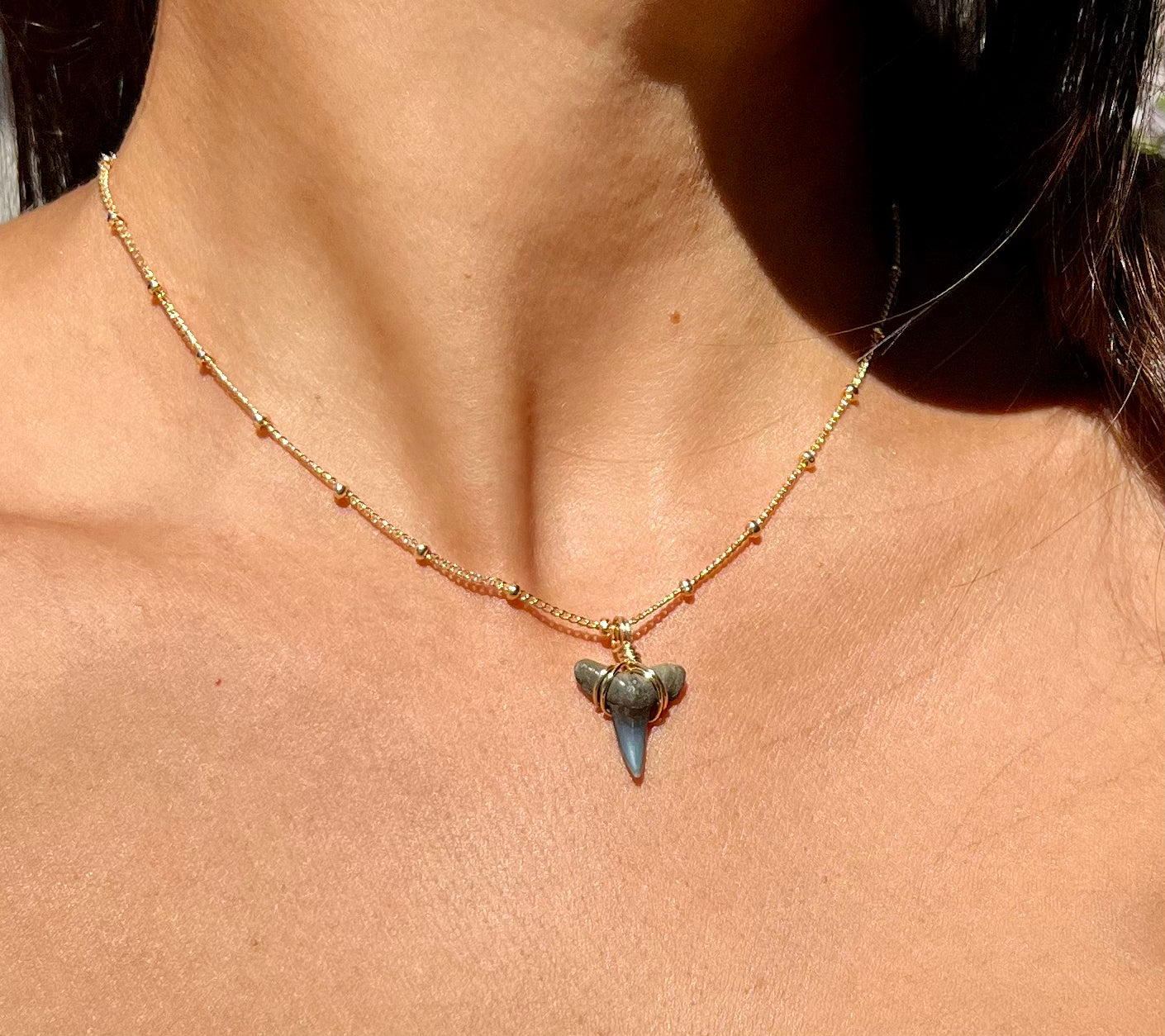 Shark tooth Necklace