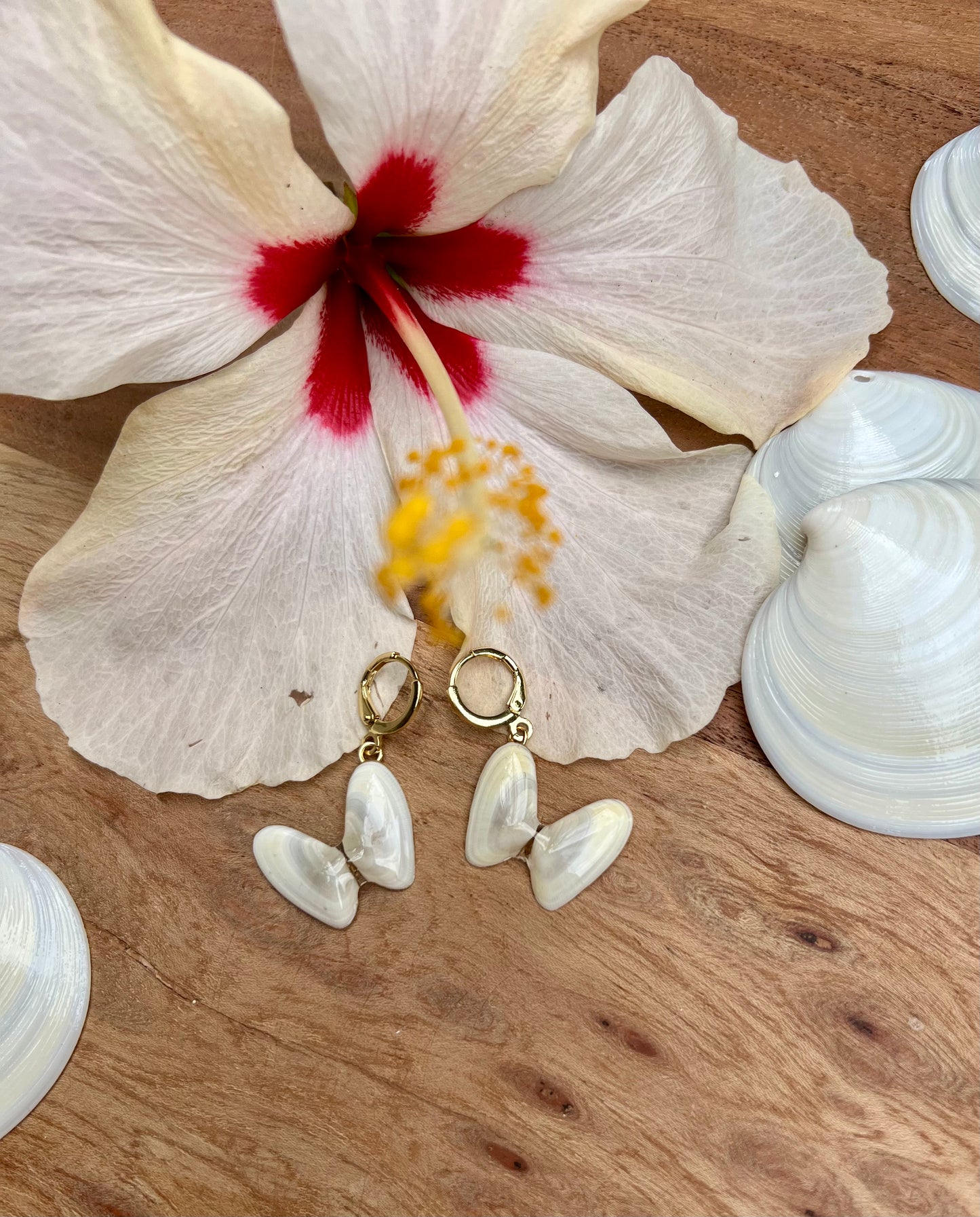 Coquina Shell Earrings