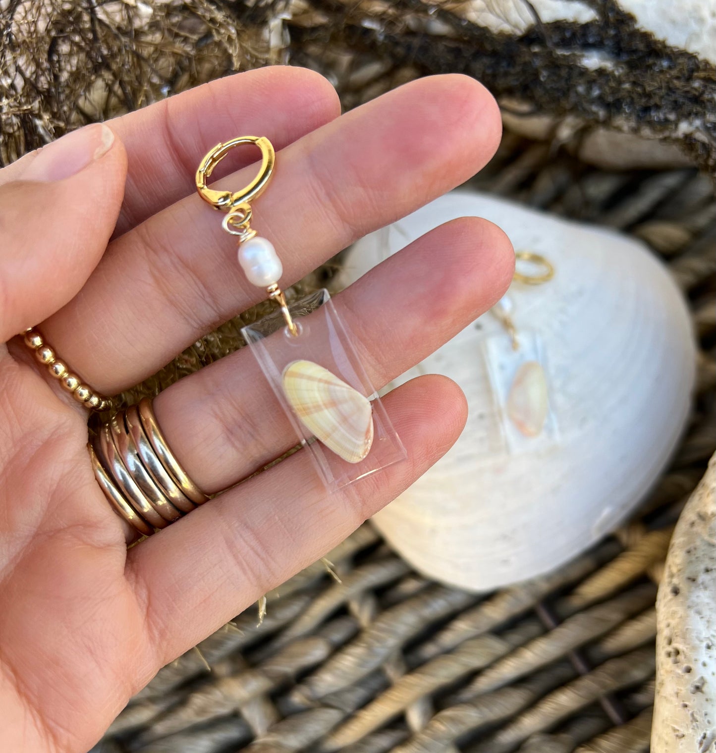 Coquina Shell Earrings