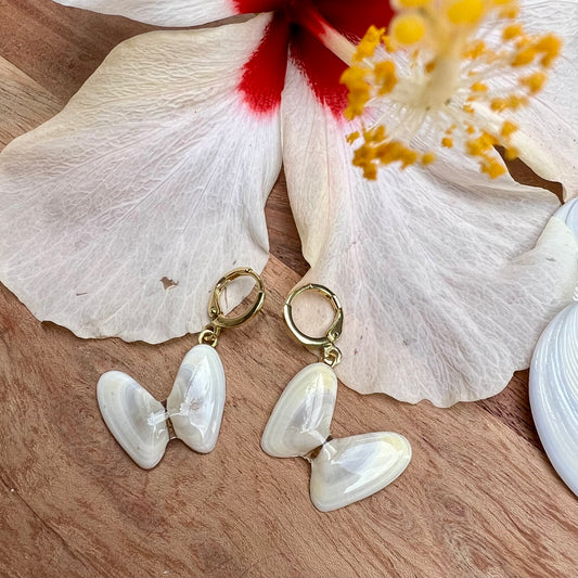 Coquina Shell Earrings