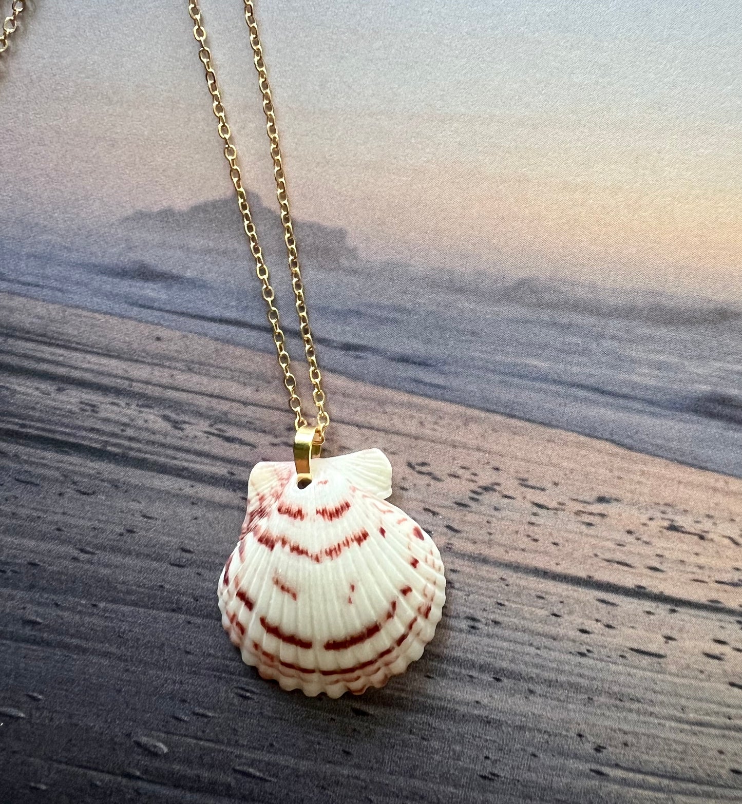 Shell Necklace on Gold Chain