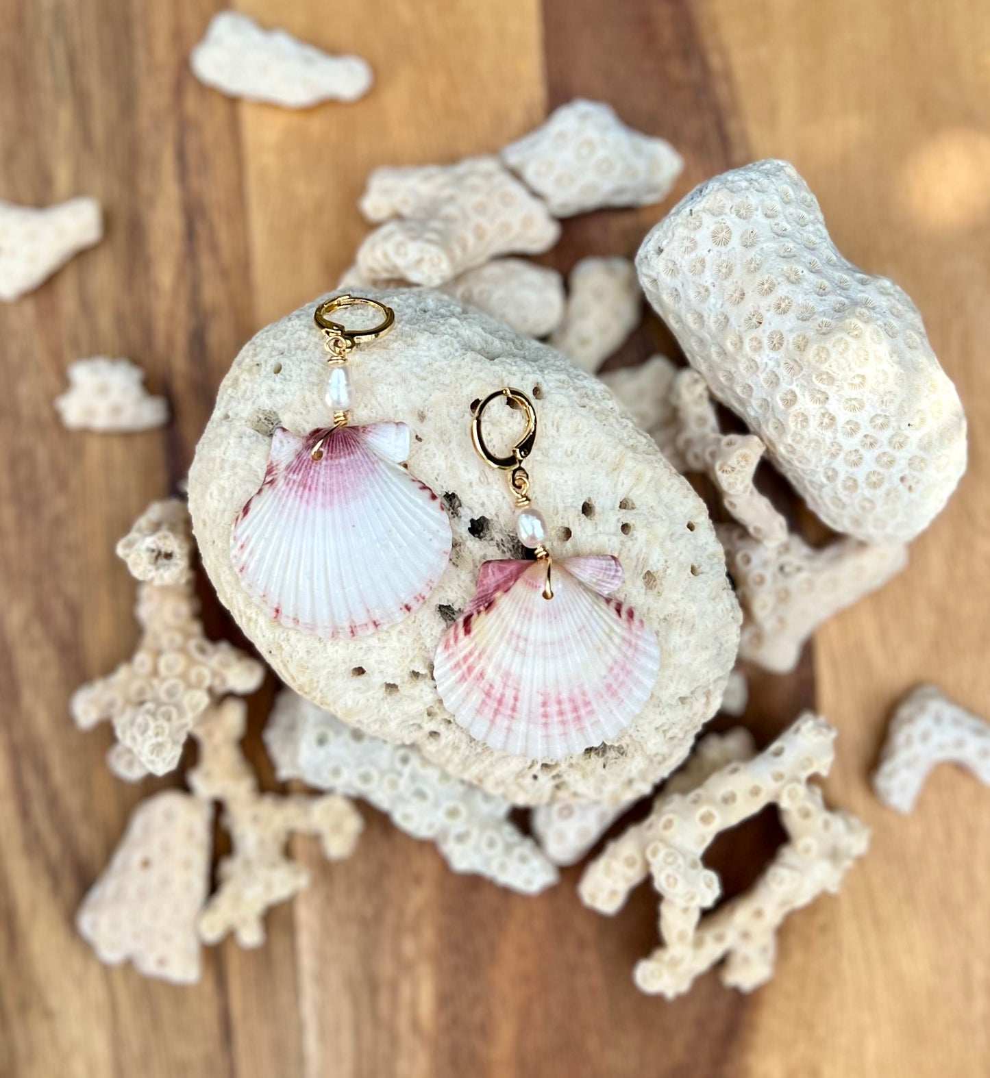 Scallop Shell Earrings