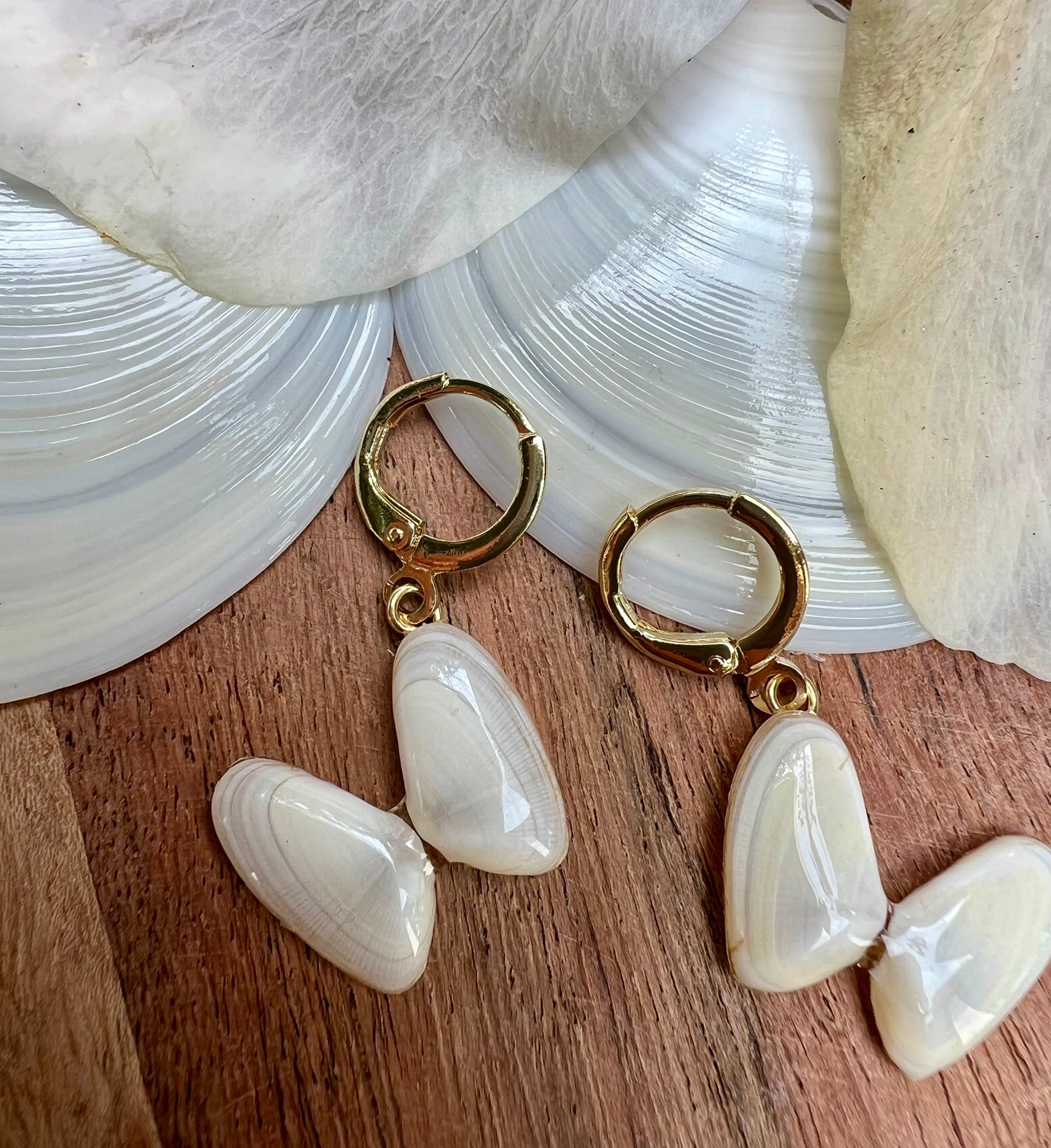 Coquina Shell Earrings