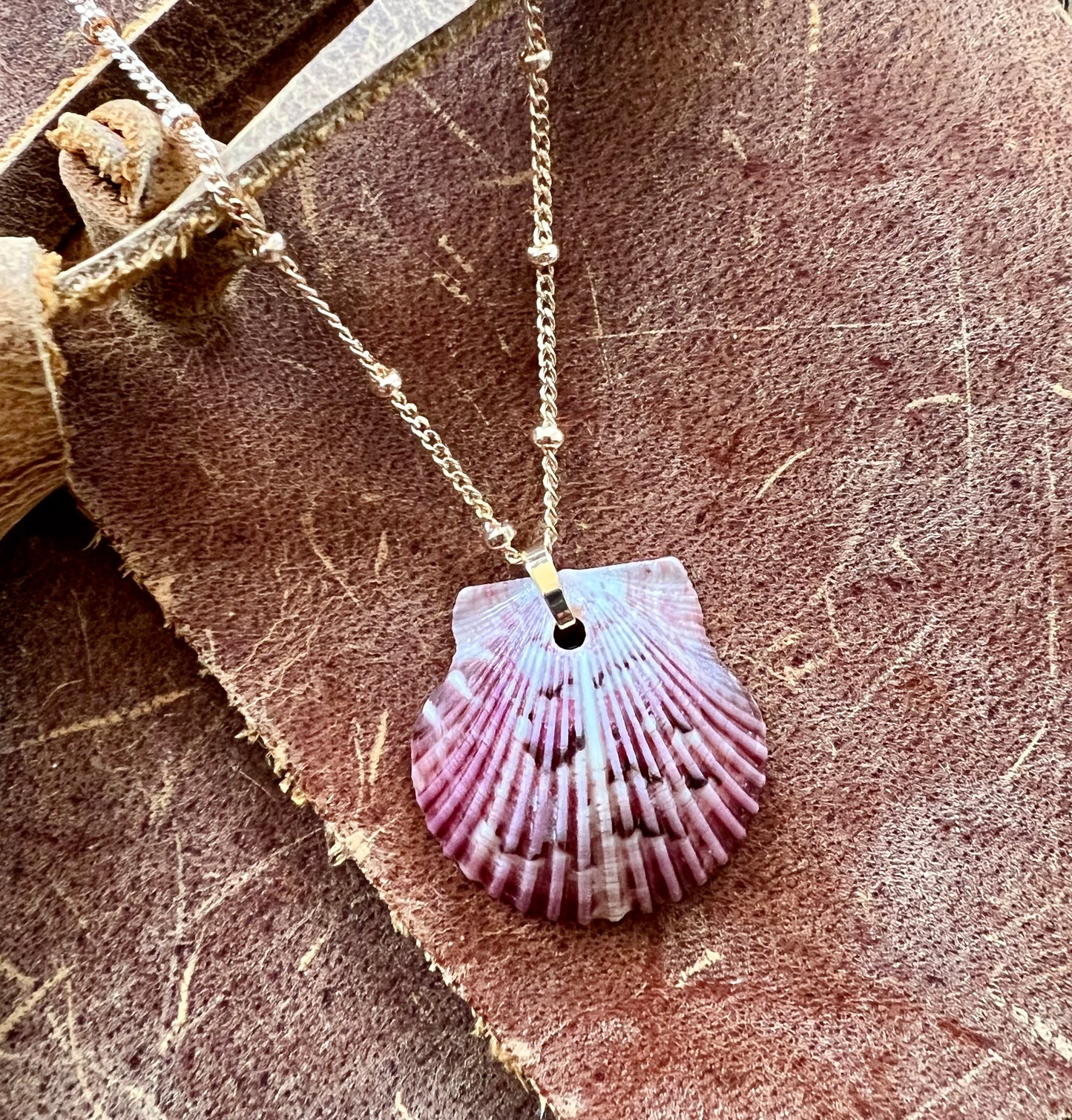 Shell Necklace on Short Gold Chain