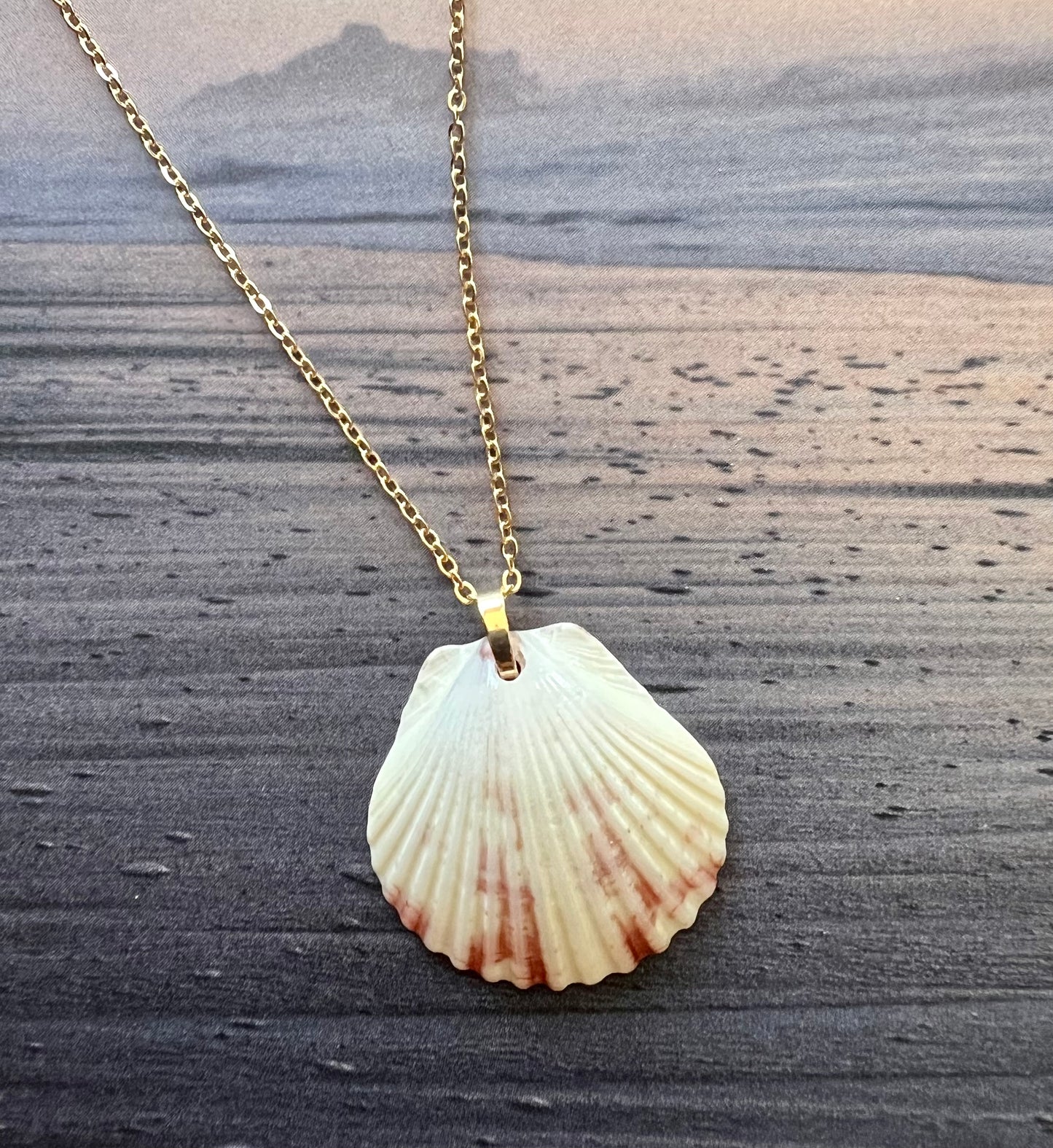 Shell Necklace on Gold Chain