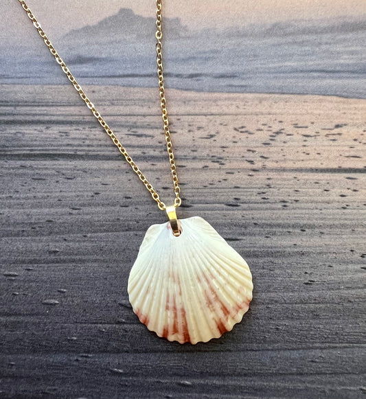 Shell Necklace on Gold Chain