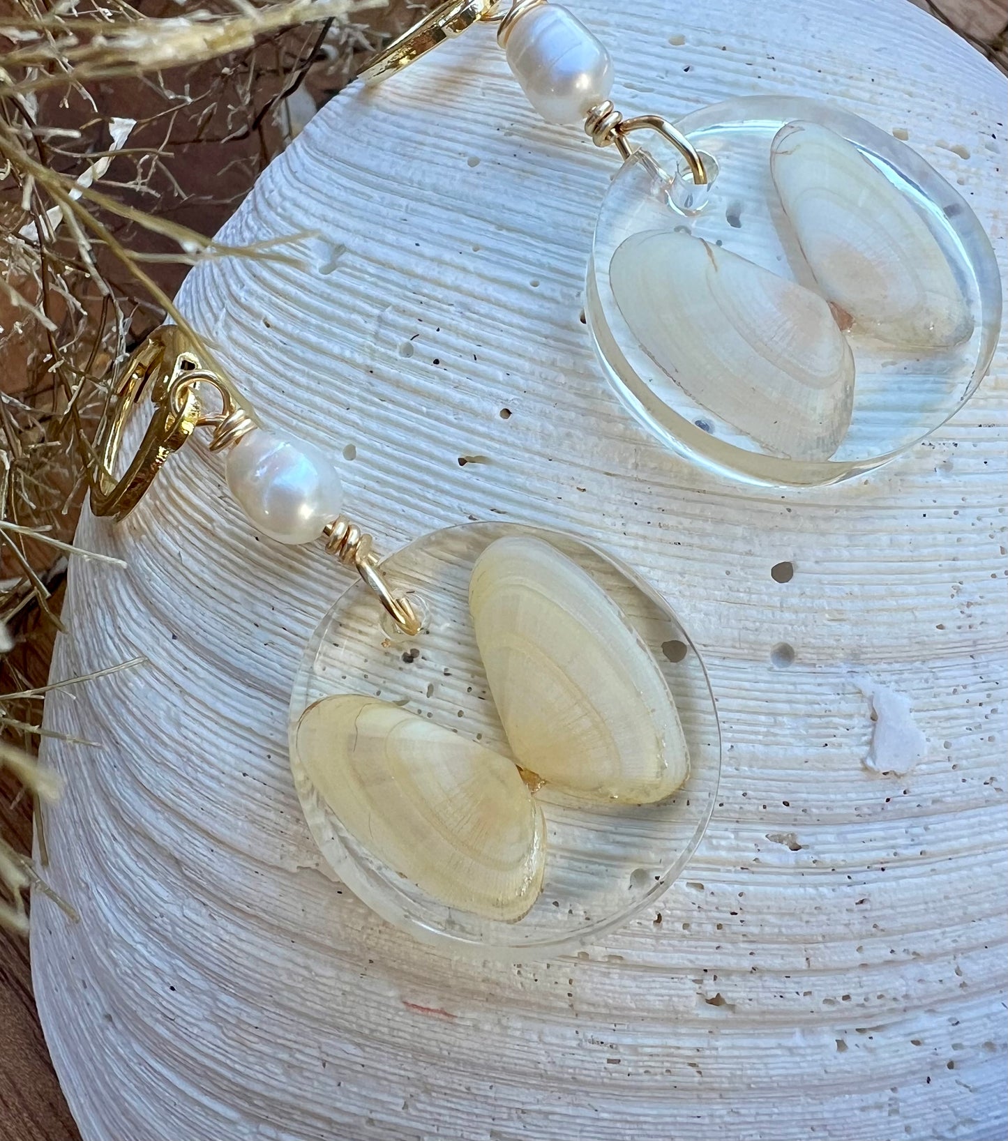 Coquina Shell Earrings