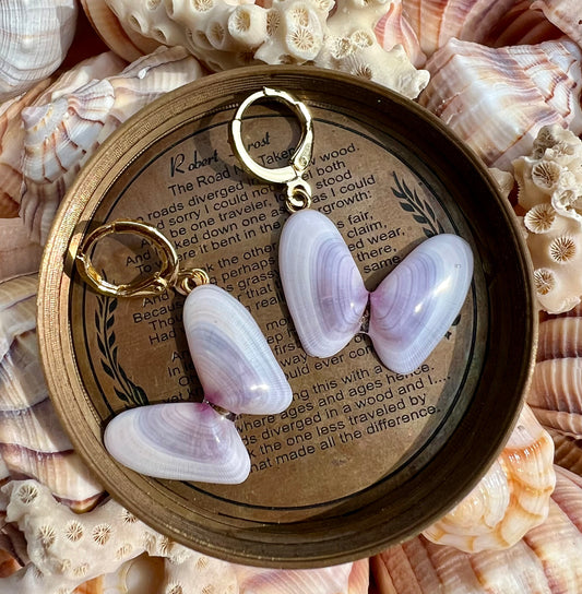 Coquina Shell Earrings