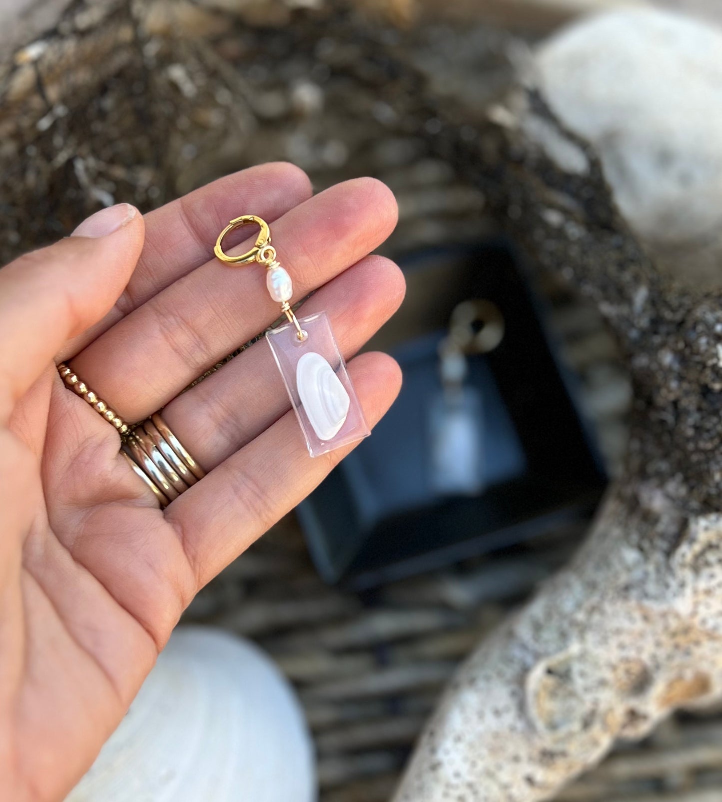 Coquina Shell Earrings