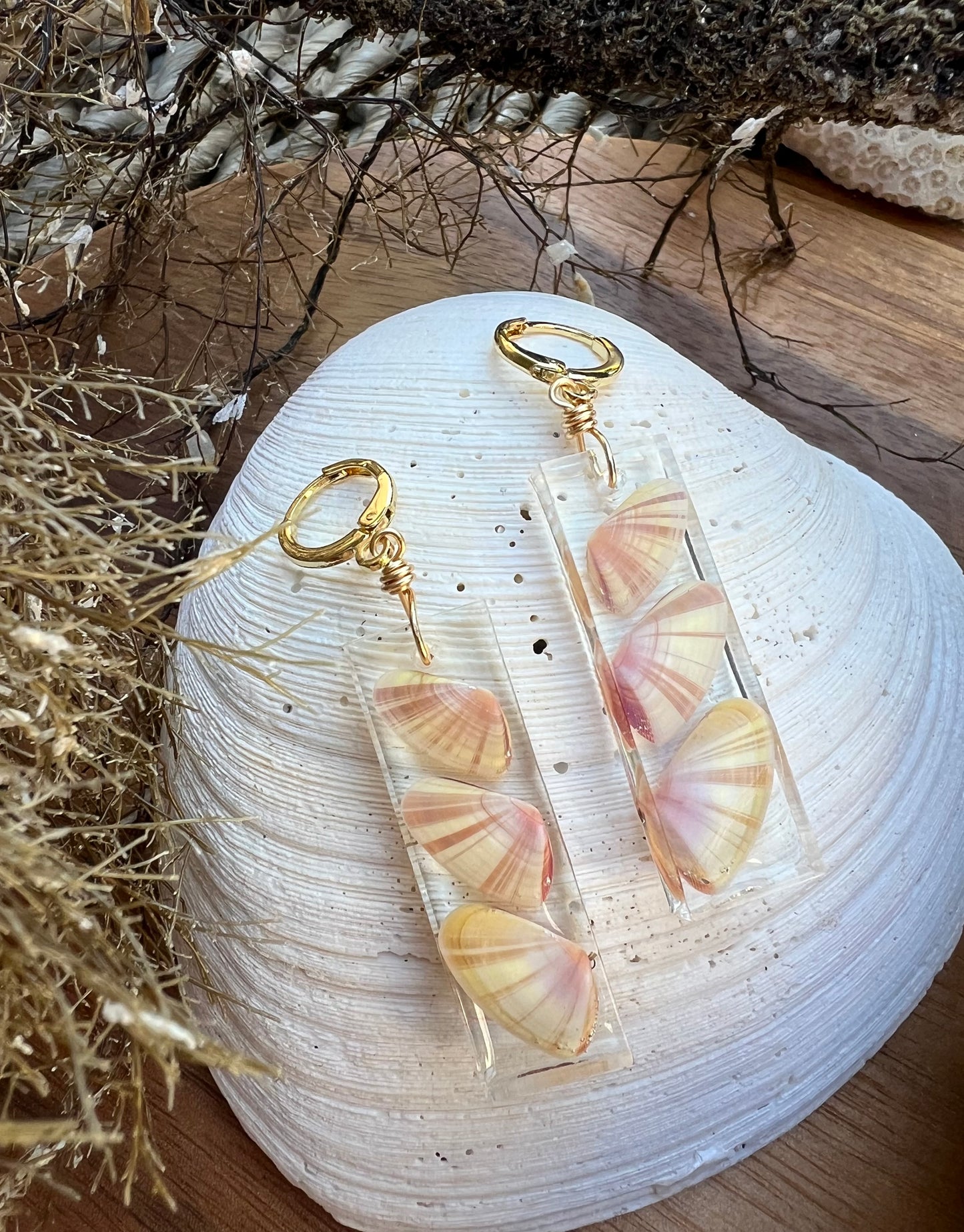 Coquina Shell Earrings