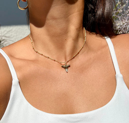 Shark tooth Necklace