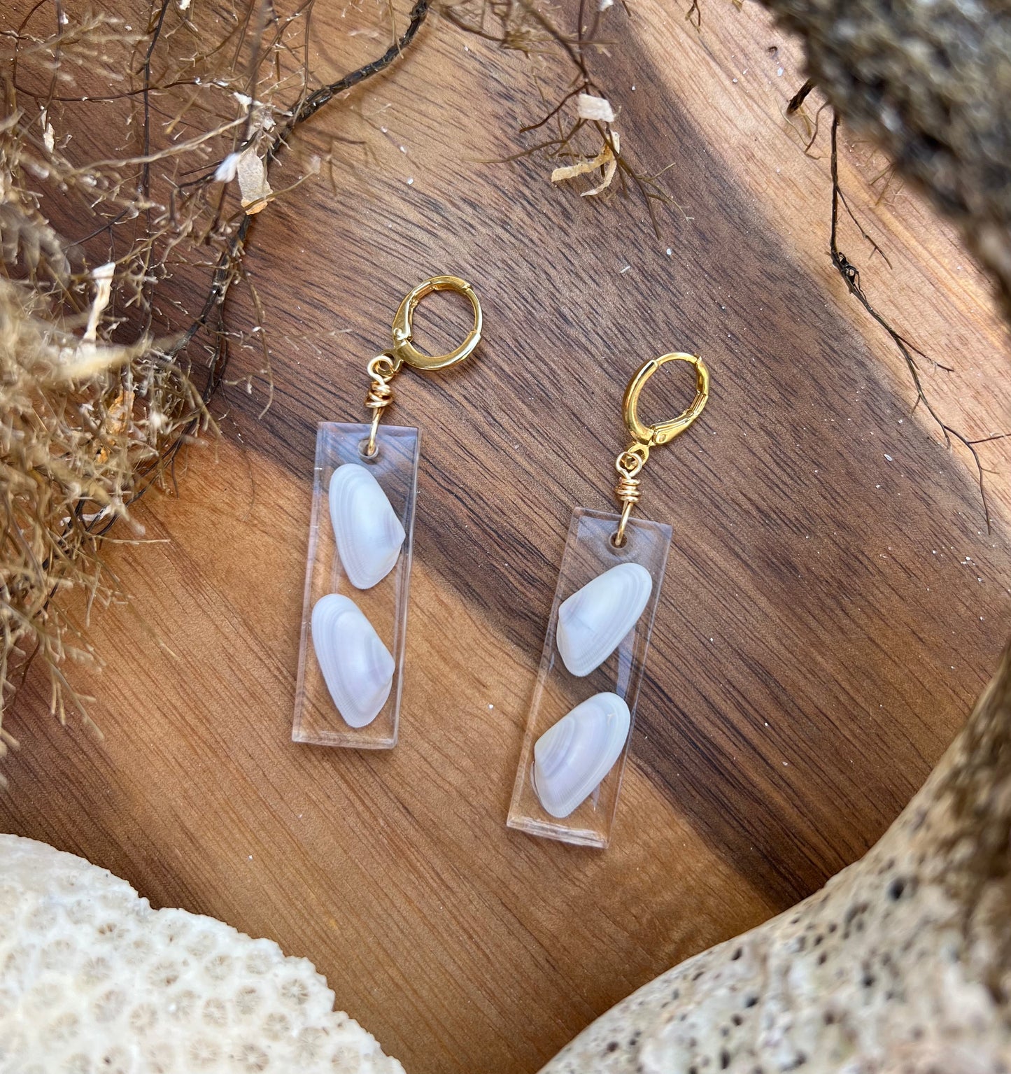 Coquina Shell Earrings