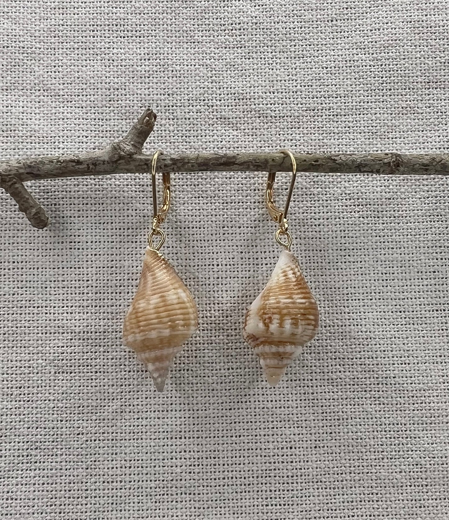 Fighting Conch Earrings