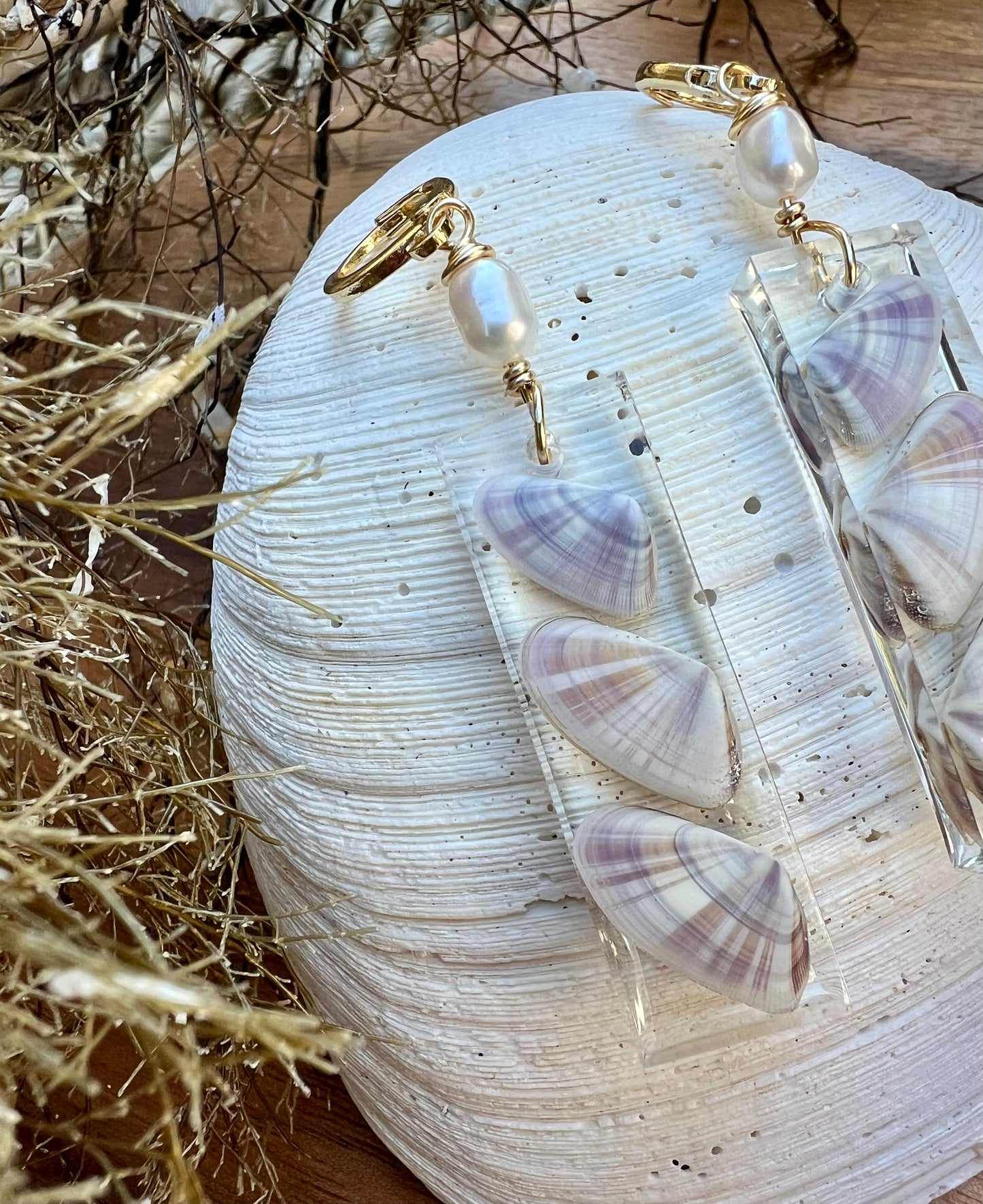 Coquina Shell Earrings