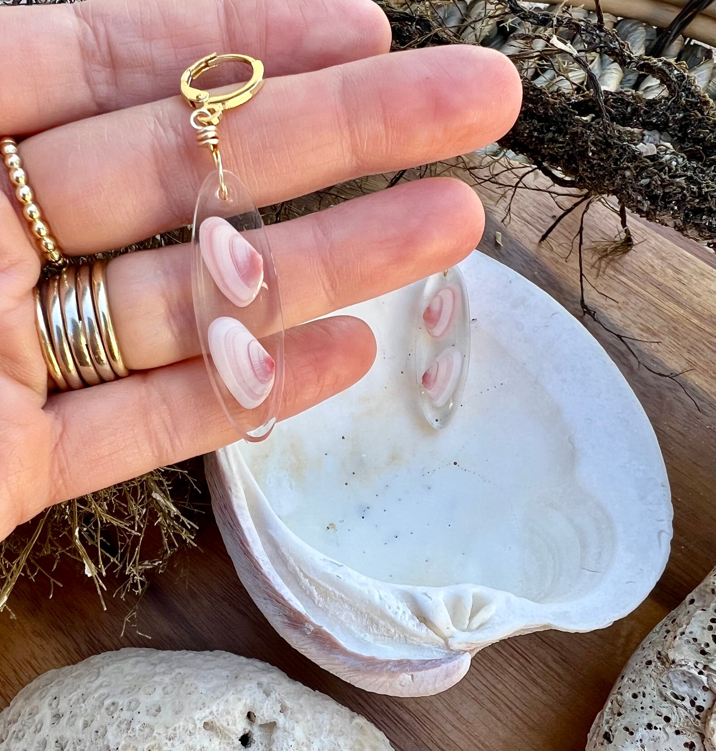 Coquina Shell Earrings