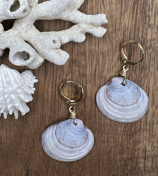 Shell Earrings