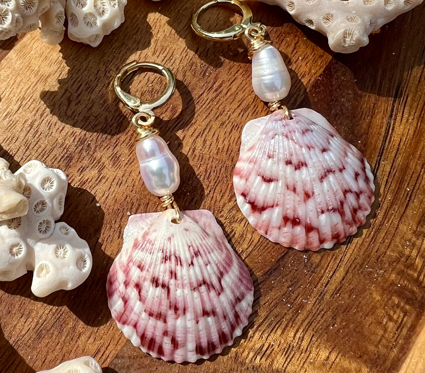 Scallop Shell Earrings