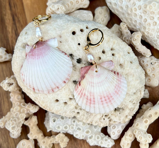 Scallop Shell Earrings