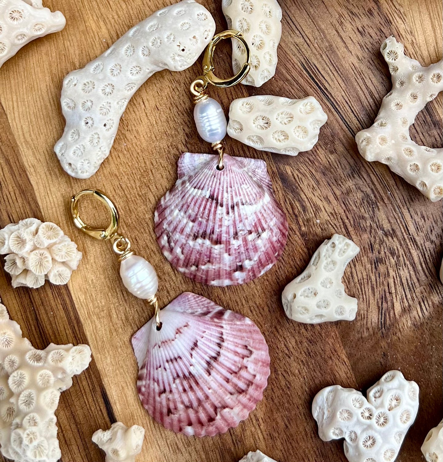 Scallop Shell Earrings