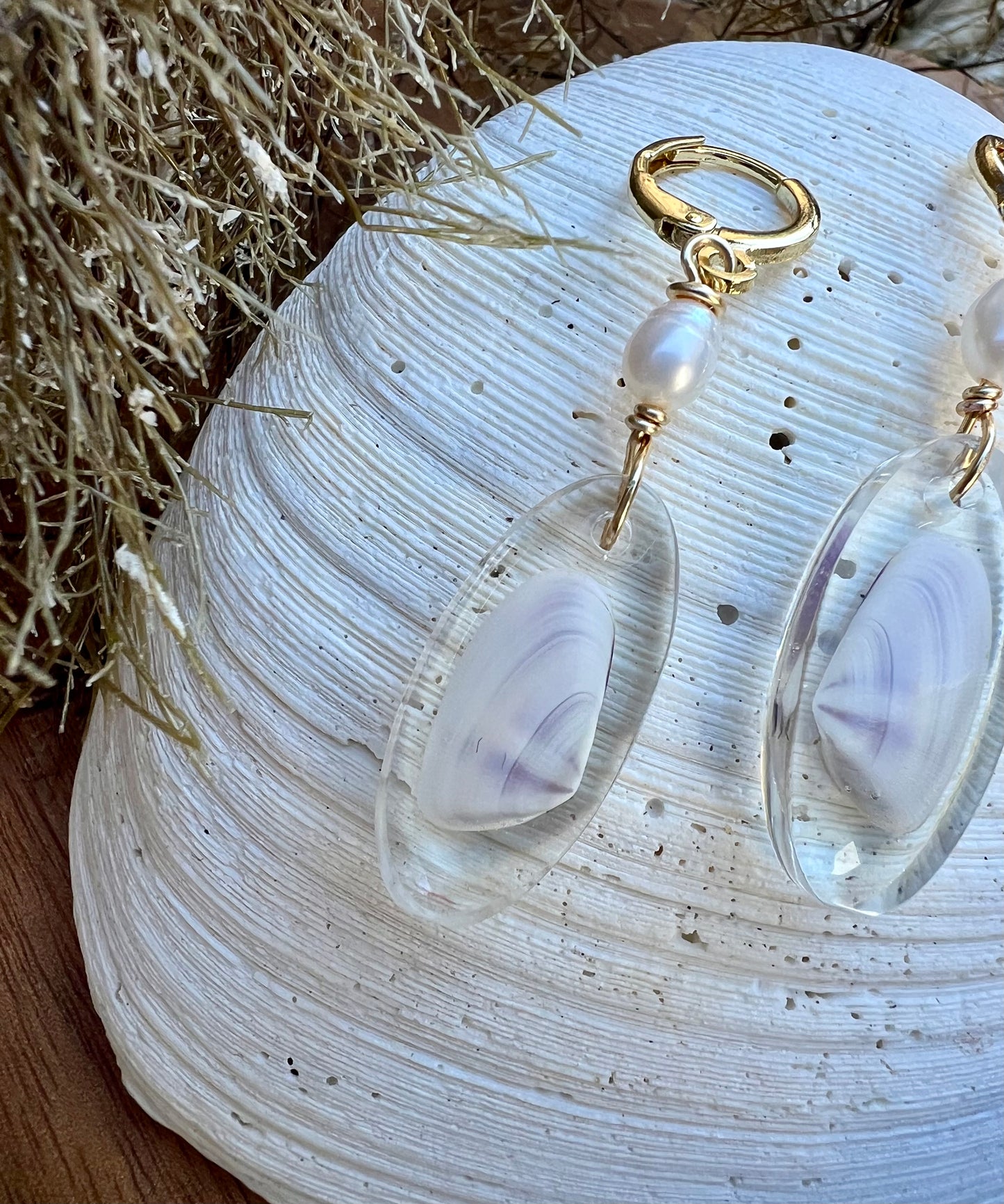 Coquina Shell Earrings