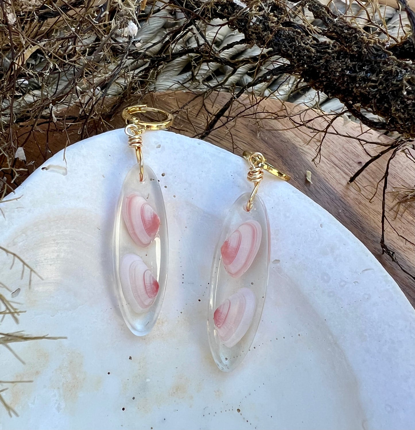 Coquina Shell Earrings