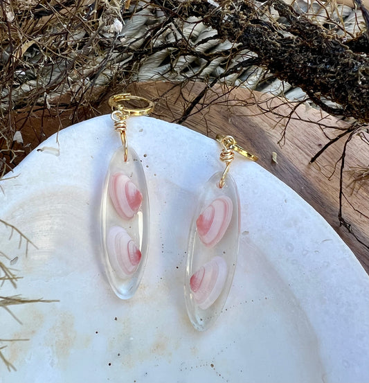 Coquina Shell Earrings