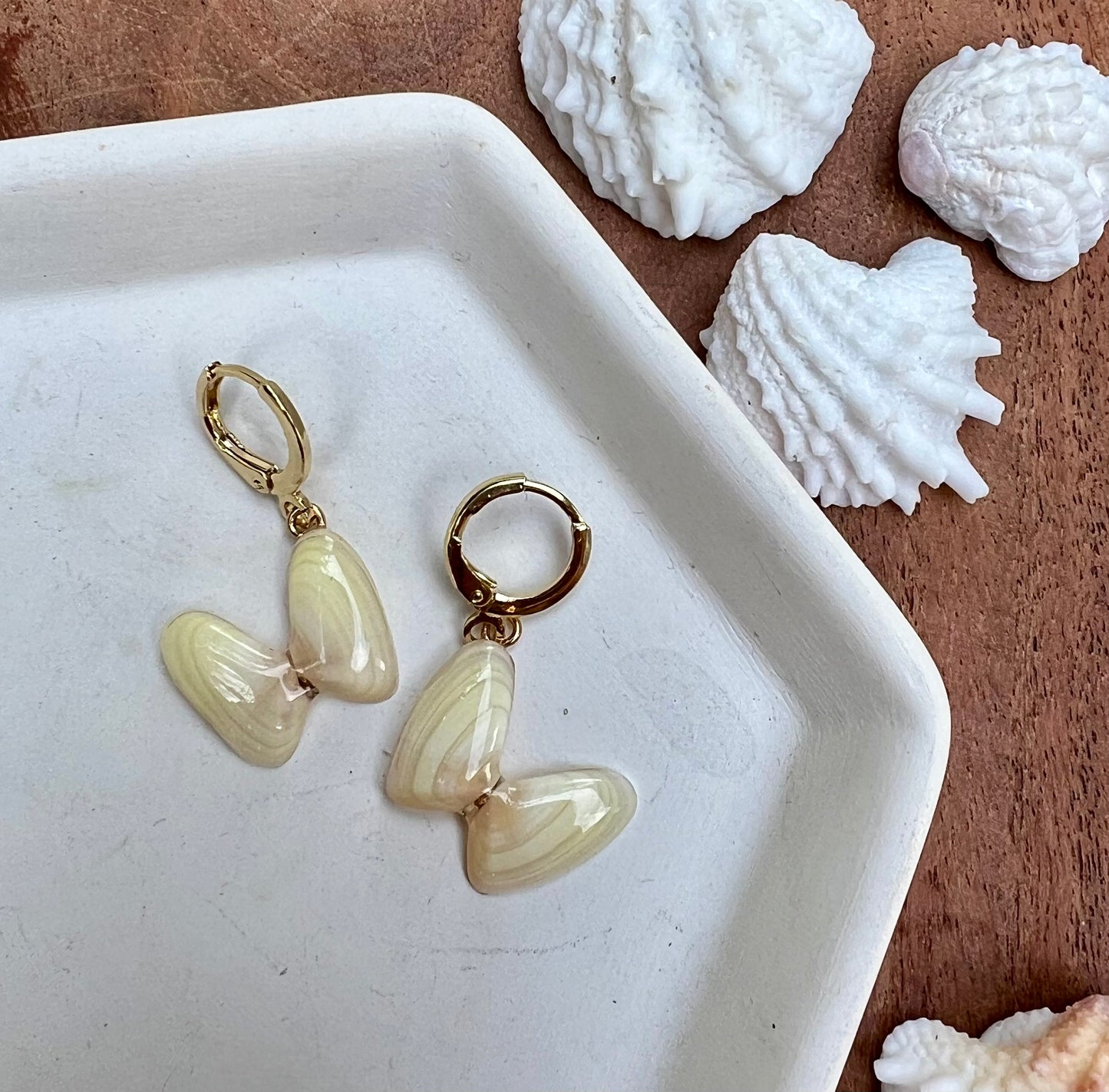 Coquina Shell Earrings