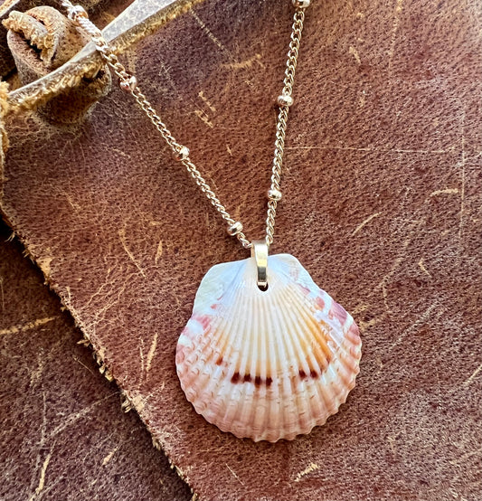 Shell Necklace on Short Gold Chain