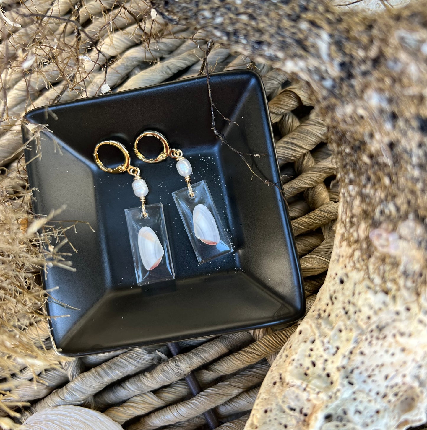 Coquina Shell Earrings