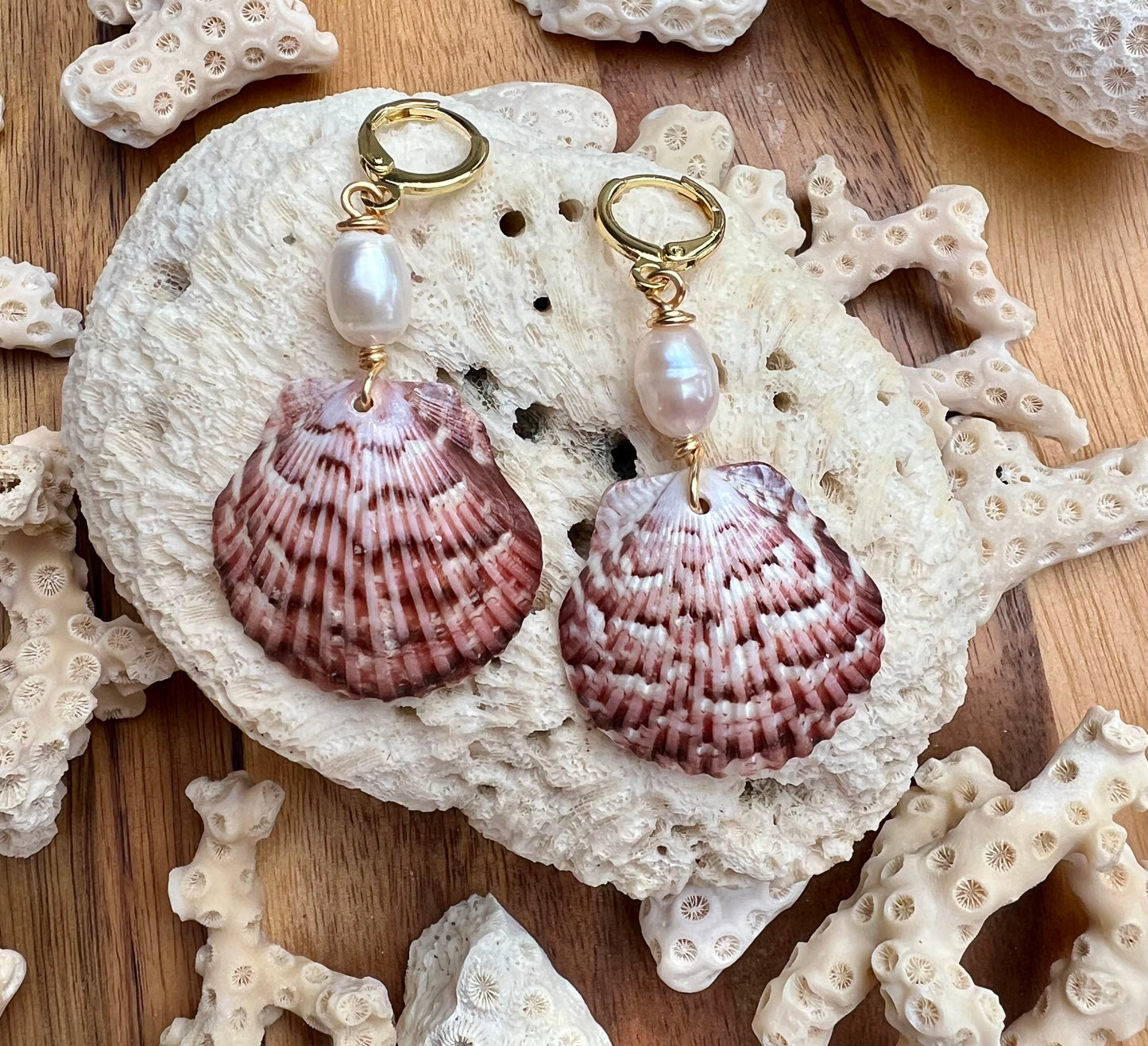 Scallop Shell Earrings