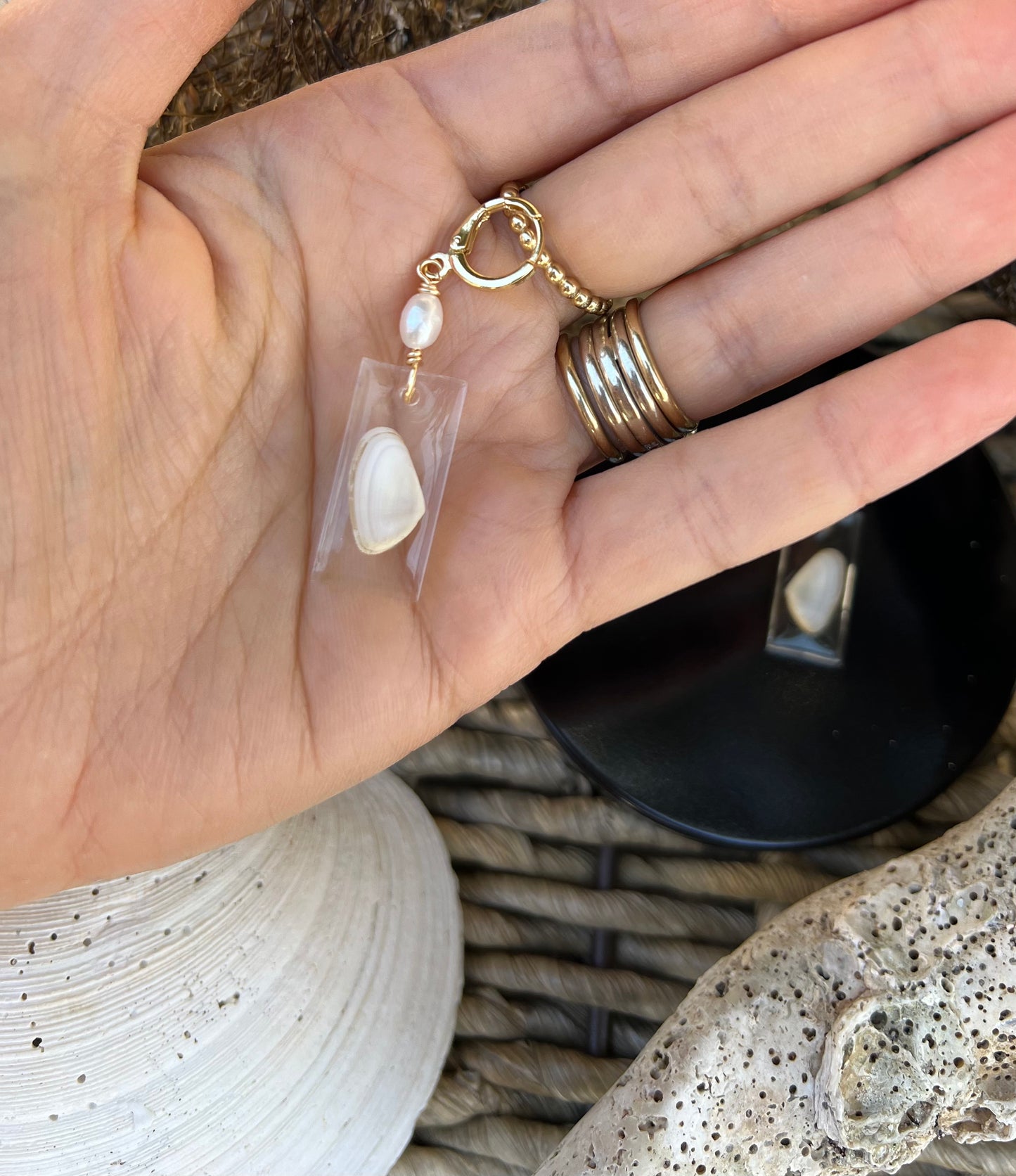 Coquina Shell Earrings