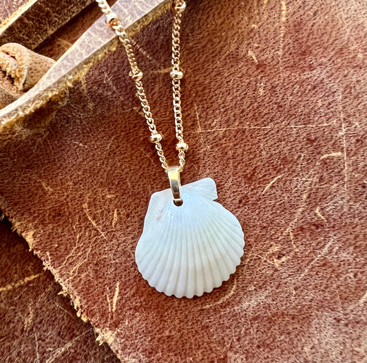 Shell Necklace on Short Gold Chain