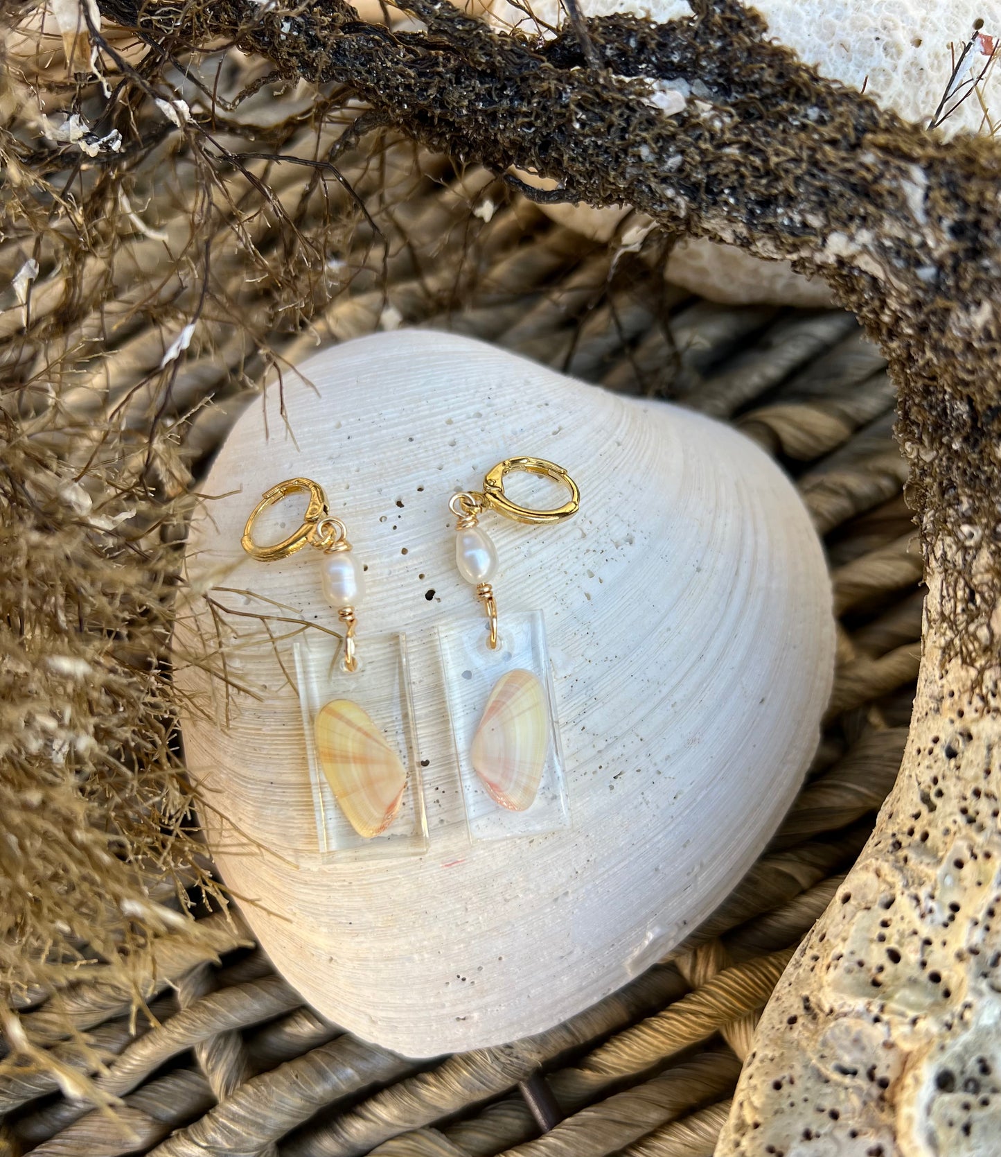 Coquina Shell Earrings