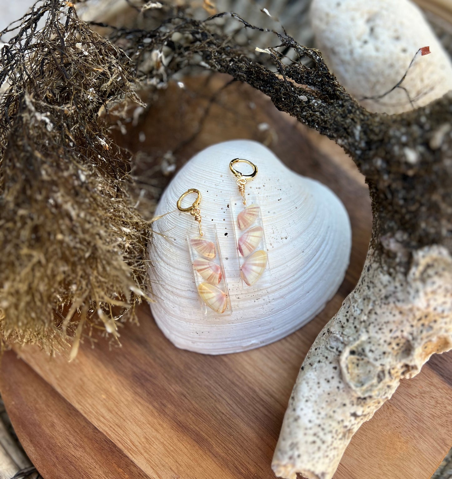 Coquina Shell Earrings