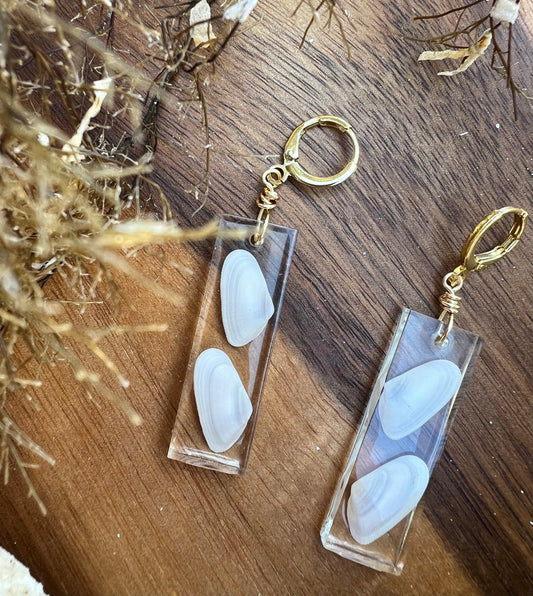 Coquina Shell Earrings