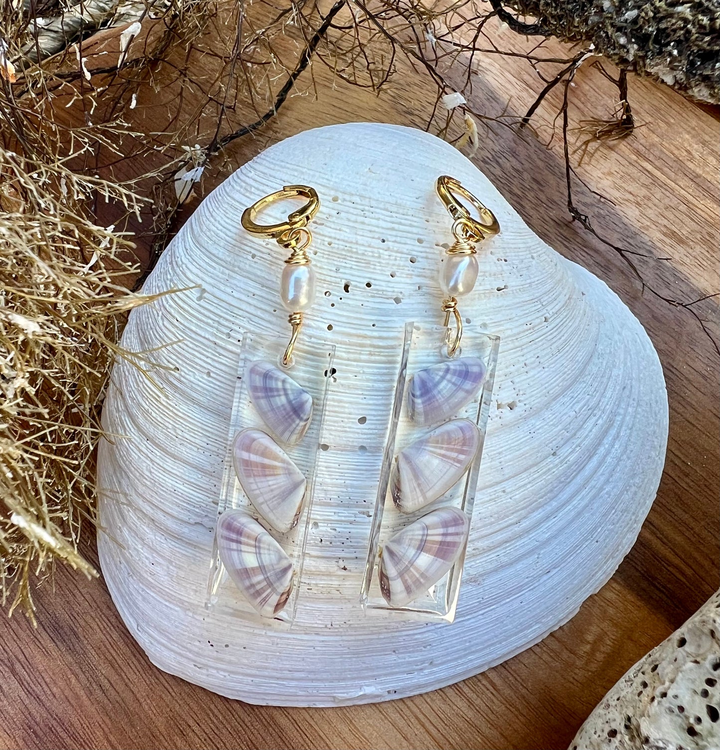 Coquina Shell Earrings