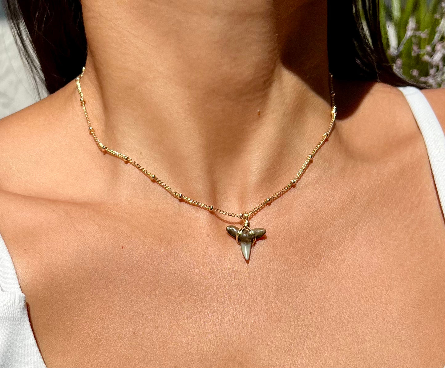 Shark tooth Necklace