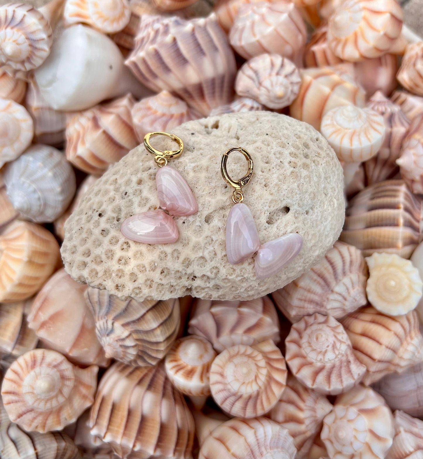 Coquina Shell Earrings