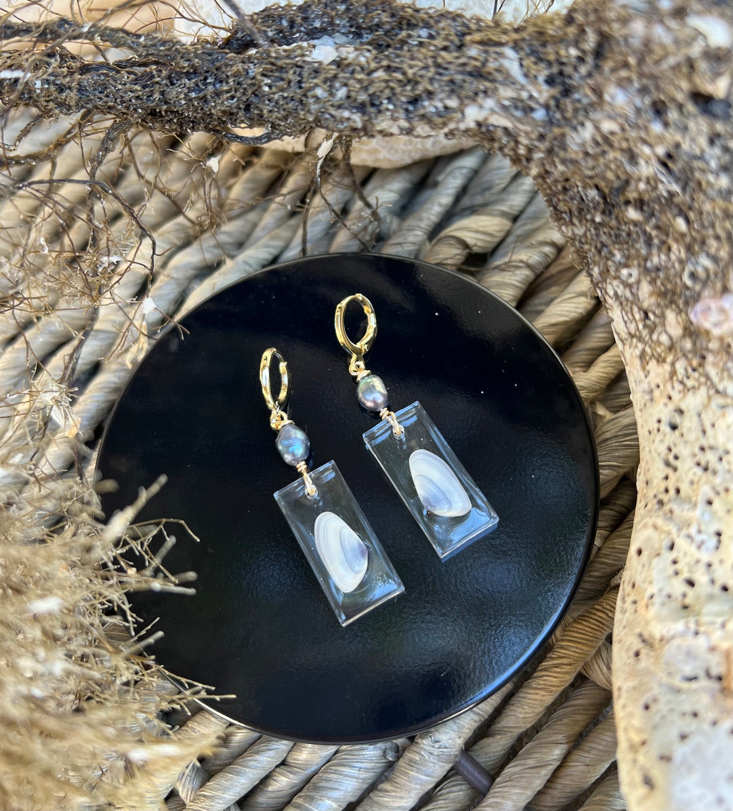 Coquina Shell Earrings