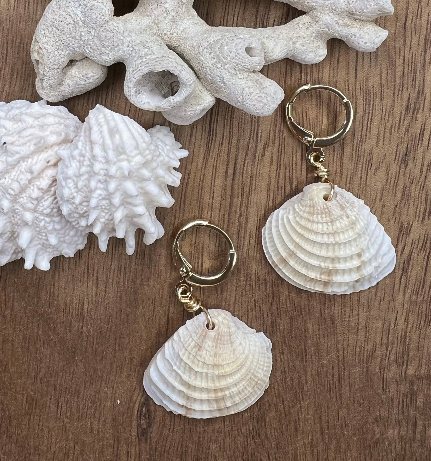 Shell Earrings