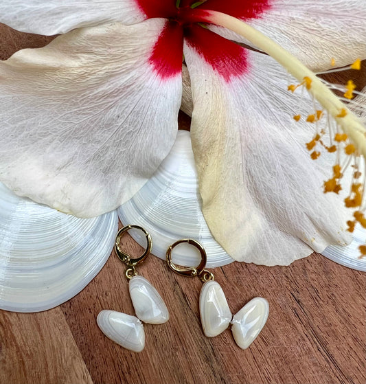 Coquina Shell Earrings