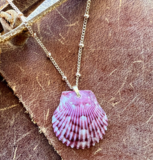 Shell Necklace on Short Gold Chain