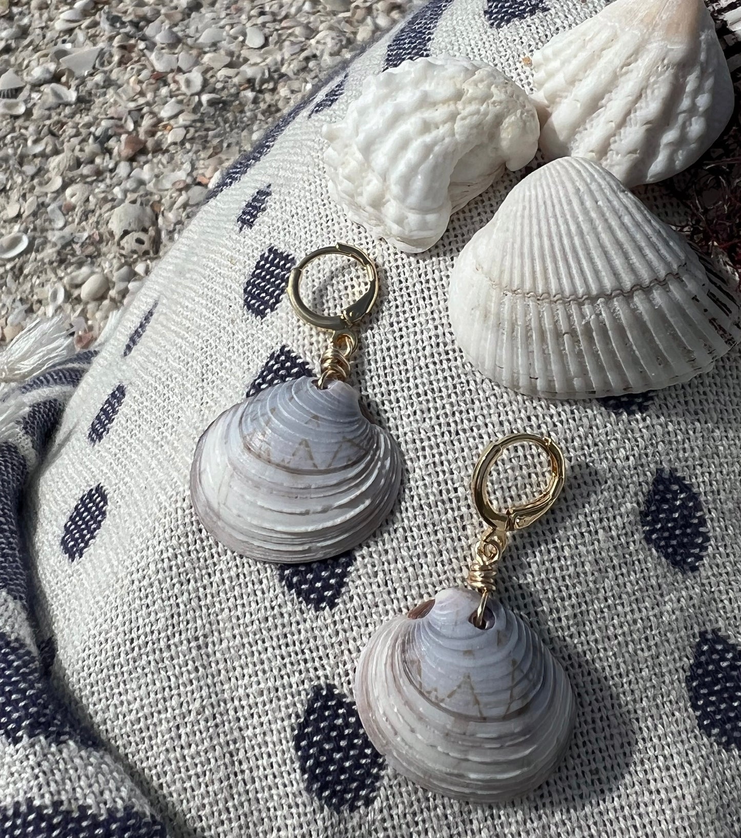 Shell Earrings