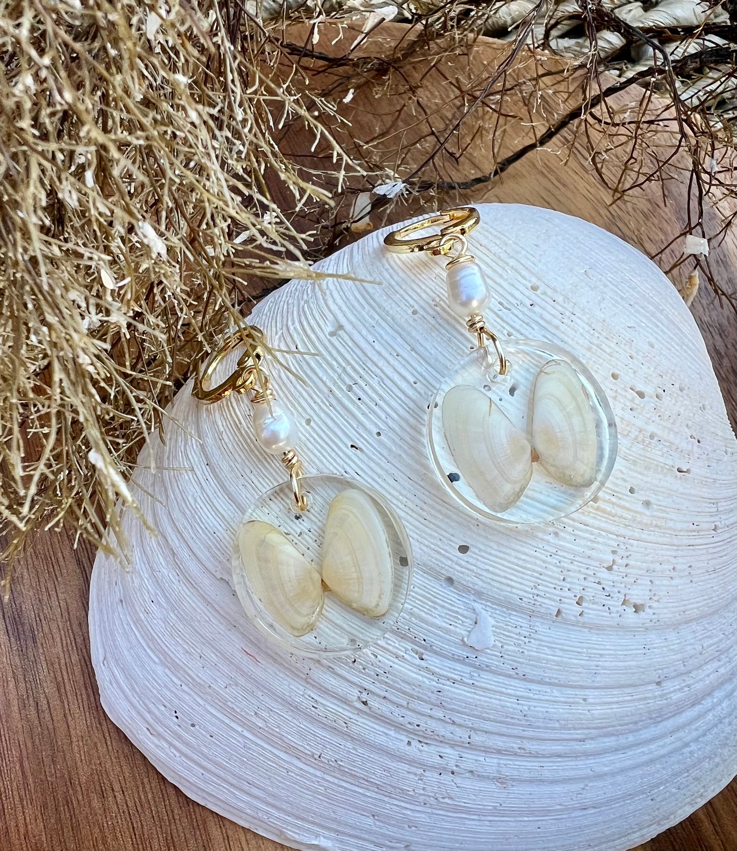 Coquina Shell Earrings