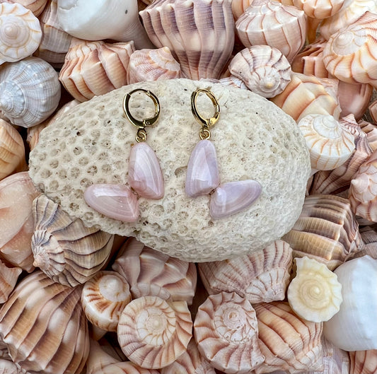 Coquina Shell Earrings